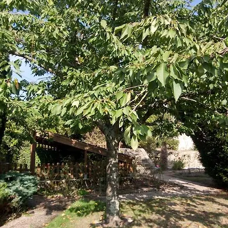 Bed & Breakfast Le Petit Chateau - Proche Puy Dufou Tiffauges
